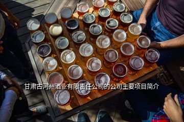 甘肅古河州酒業有限責任公司的公司主要項目簡介