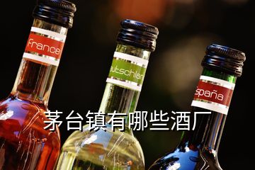 茅臺鎮有哪些酒廠
