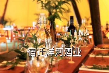 宿遷洋河酒業