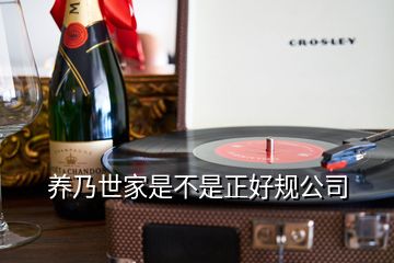 養乃世家是不是正好規公司