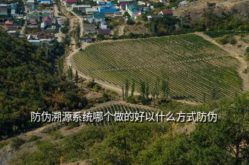 防偽溯源系統哪個做的好以什么方式防偽