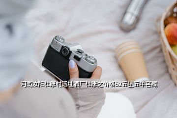 河南汝陽杜康村遺址酒廠杜康之價(jià)格52五星五年窖藏