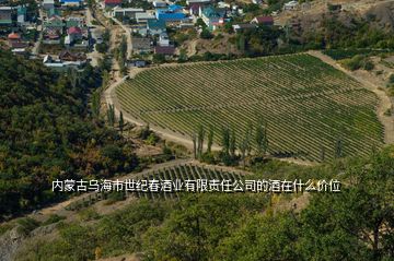 內蒙古烏海市世紀春酒業有限責任公司的酒在什么價位