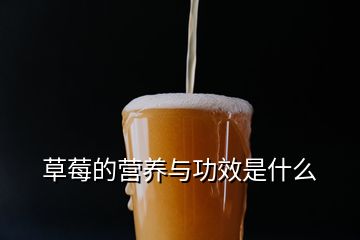 草莓的營養與功效是什么