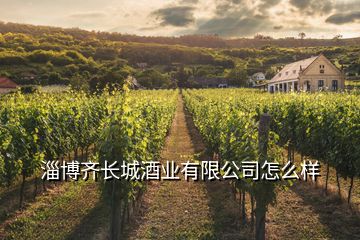 淄博齊長城酒業有限公司怎么樣