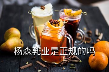 楊森乳業是正規的嗎