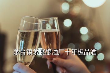 茅臺鎮茅宴釀酒廠十年極品酒