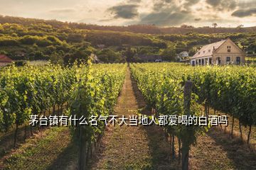 茅臺鎮有什么名氣不大當地人都愛喝的白酒嗎