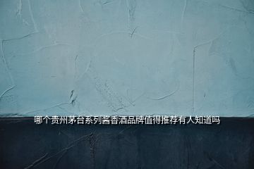 哪個貴州茅臺系列醬香酒品牌值得推薦有人知道嗎