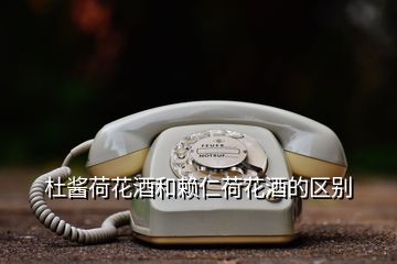 杜醬荷花酒和賴仁荷花酒的區別