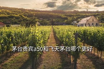 茅臺(tái)貴賓a50和飛天茅臺(tái)哪個(gè)更好
