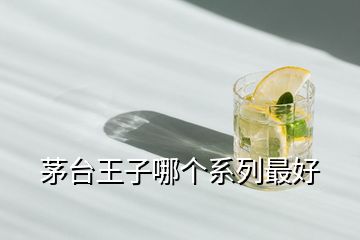 茅臺王子哪個(gè)系列最好