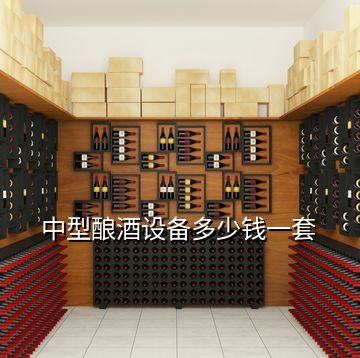 中型釀酒設備多少錢一套