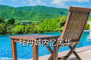 牡丹城內(nèi)憶風(fēng)華