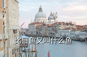 比目魚又叫什么魚
