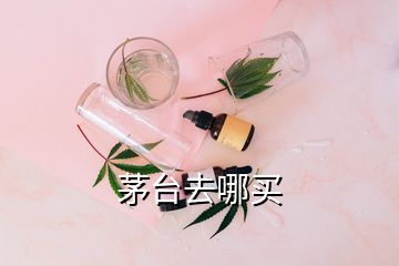 茅臺去哪買