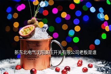 新東北電氣沈陽高壓開關有限公司老板是誰