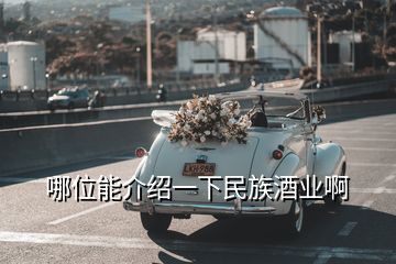 哪位能介紹一下民族酒業啊