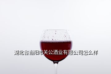 湖北省當陽市關公酒業有限公司怎么樣