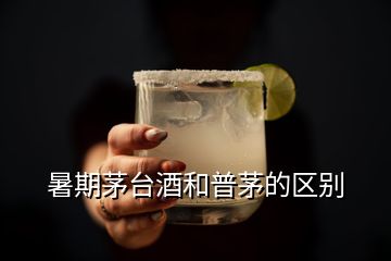 暑期茅臺酒和普茅的區別
