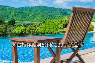 茅臺持續瘦身5年砍199個子品牌