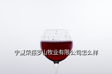 寧夏榮振羅山牧業有限公司怎么樣