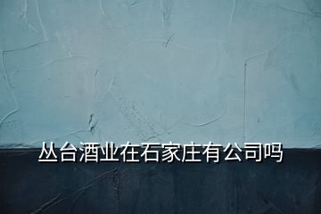 叢臺酒業在石家莊有公司嗎