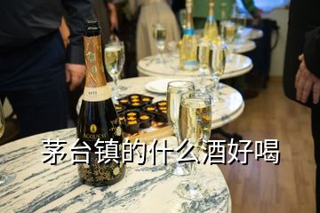 茅臺鎮的什么酒好喝
