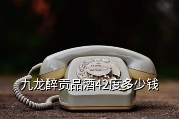 九龍醉貢品酒42度多少錢(qián)