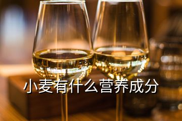 小麥有什么營養成分