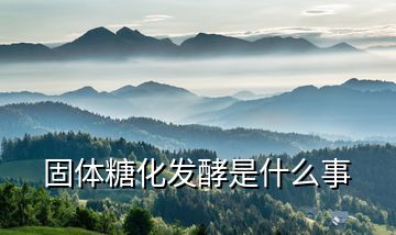 固體糖化發酵是什么事