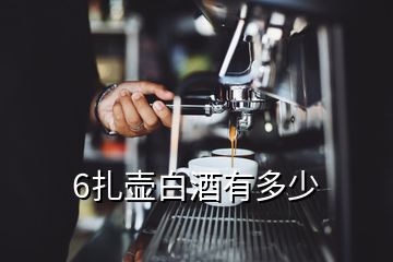 6扎壺白酒有多少
