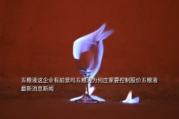五糧液這企業有前景嗎五糧液為何莊家要控制股價五糧液最新消息新聞