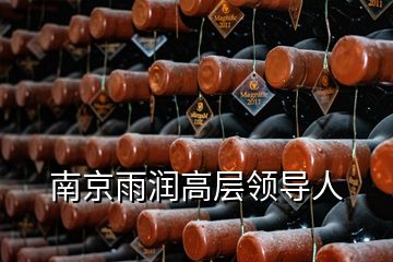 南京雨潤高層領導人
