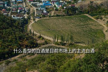 什么香型的白酒是目前市場(chǎng)上的主流白酒