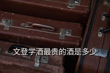 文登學酒最貴的酒是多少