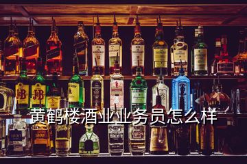 黃鶴樓酒業業務員怎么樣