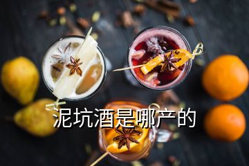泥坑酒是哪產的