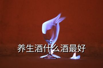 養生酒什么酒最好
