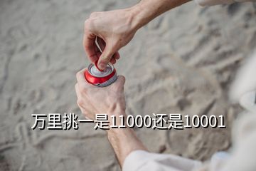 萬(wàn)里挑一是11000還是10001