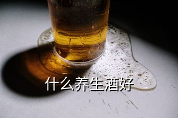 什么養生酒好