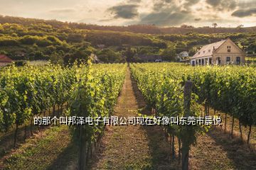 的那個叫邦澤電子有限公司現在好像叫東莞市晨悅