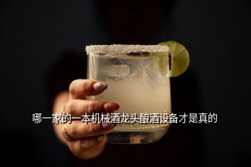 哪一家的一本機械酒龍頭釀酒設備才是真的