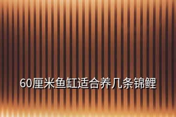 60厘米魚缸適合養幾條錦鯉