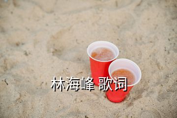 林海峰 歌詞