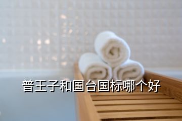 普王子和國臺國標哪個好