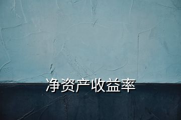 凈資產收益率
