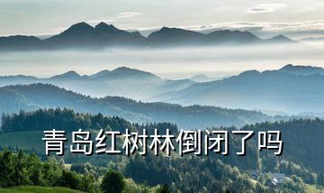 青島紅樹林倒閉了嗎