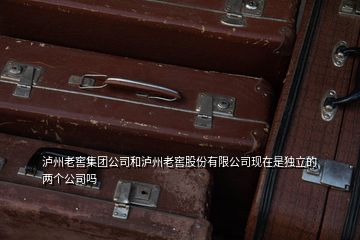 瀘州老窖集團公司和瀘州老窖股份有限公司現在是獨立的兩個公司嗎