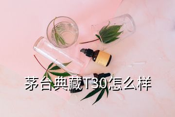 茅臺典藏T30怎么樣